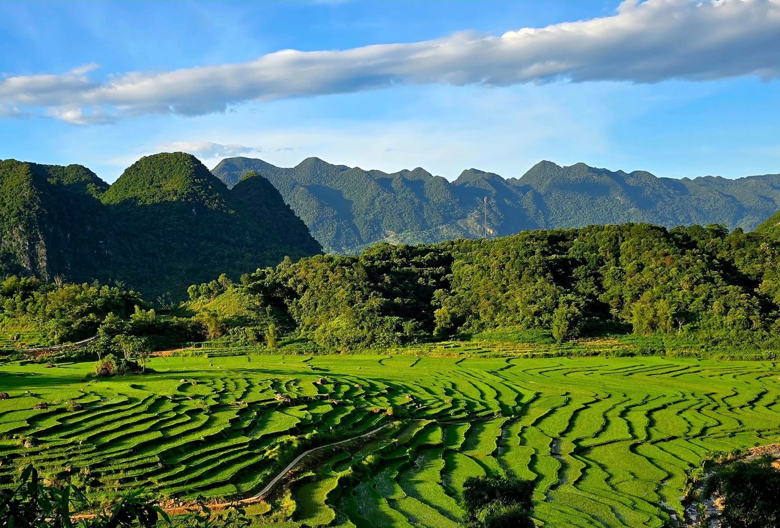 Emerald rice terraces and mountain peaks